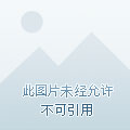 长腿叔叔的作者是