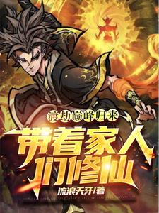 渡劫中的小说