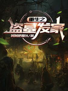 重生之盗贼行天下有声小说