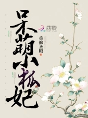 呆萌小狐妃txt下载