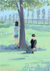 夏日终曲实体书图片